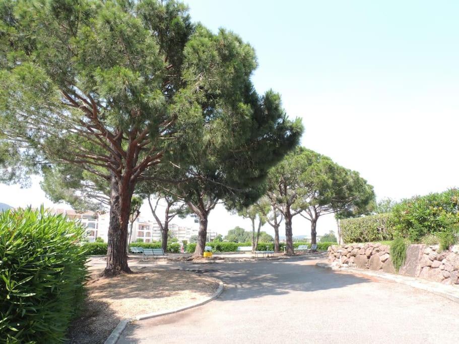 Ginkgo Studio - Piscine, Proche De La Mer, Golf, Wifi Mandelieu Exteriör bild